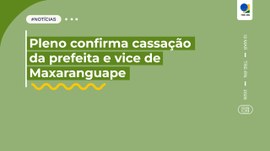 Arte promocional horizontal em fundo verde com borda superior transparente. Esquerda: retângulo ...