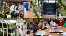 #Acessibilidade #ParaTodosVerem | Montagem com quatro fotos de uma ação voltada à sustentabilida...