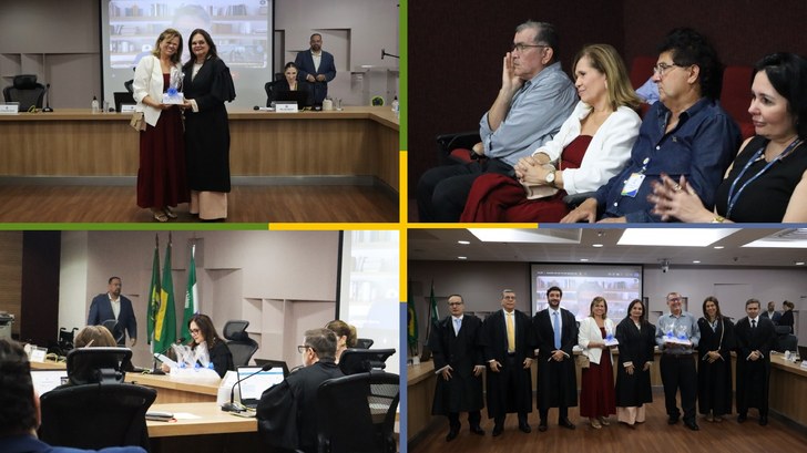 Solenidade ocorreu durante sessão plenária desta quinta-feira (13)