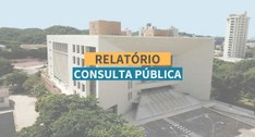 Relatório Consulta Pública