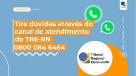 Os canais, como o Disque-Eleições, ajudam o eleitor a acessar informações, emitir certidões, con...
