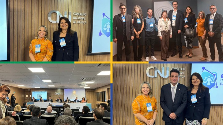TRE-RN participou do Encontro Nacional Sobre Proteção de Dados e IA no Poder Judiciário Evento ocorreu no último dia 9, no Auditório do CNJ, em Brasília